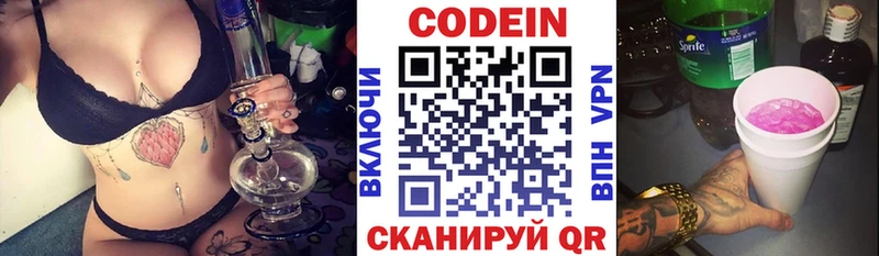 купить наркотики цена  Новая Ладога  Codein Purple Drank 