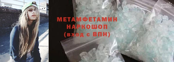 ГАЛЛЮЦИНОГЕННЫЕ ГРИБЫ Няндома