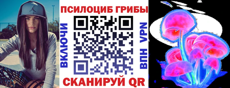 Псилоцибиновые грибы ЛСД  купить  сайты  Новая Ладога 