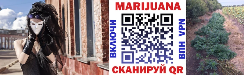 наркотики  MEGA маркетплейс  это официальный сайт  Новая Ладога  Канабис конопля 